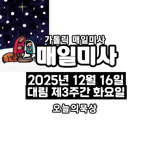 2025년 12월 16일 매일미사 대림 제3주간 화요일 오늘의 묵상