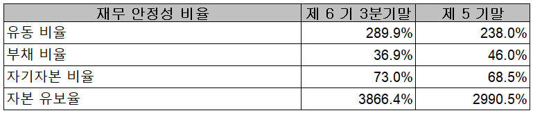 이녹스첨단소재 - 재무 안정성 비율