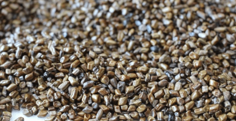 눈에 좋은 음식 사진 - 1