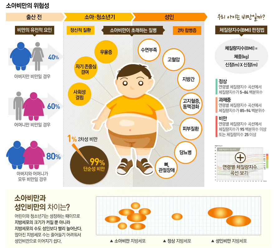 [파란형-Tipoazul] 현대인의 비만 원인