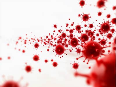 베트남 홍역 증상 및 예방을 위한 백신 저렴하게 접종하기