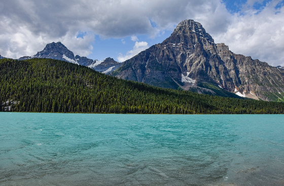 제로웨이스트 미디어와 지속 가능한 커뮤니케이션 전략