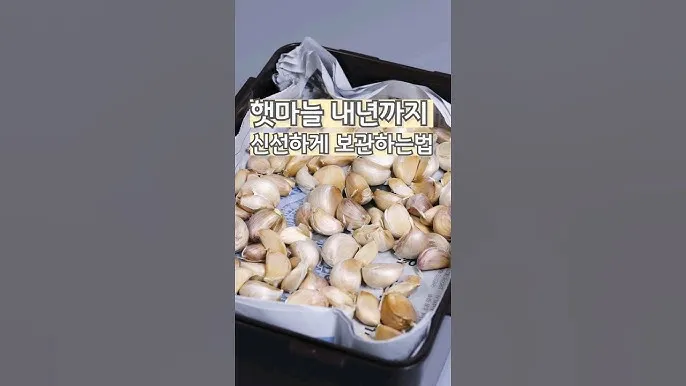 통마늘 지퍼백 보관 효과 오래 보관하는 방법_3
