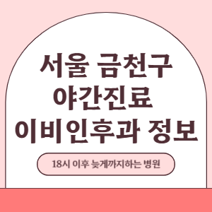 서울 금천구 야간진료 이비인후과 병원 (18시 이후 늦게까지하는 병원)