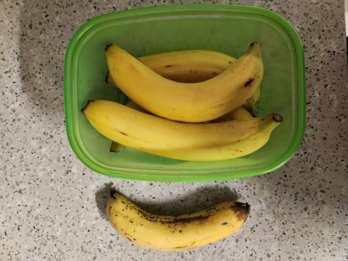 "데비마이어 그린박스" 사용 후 버리는 음식이 없어졌어요! 냉장고 속 혁명템 사용 후기!