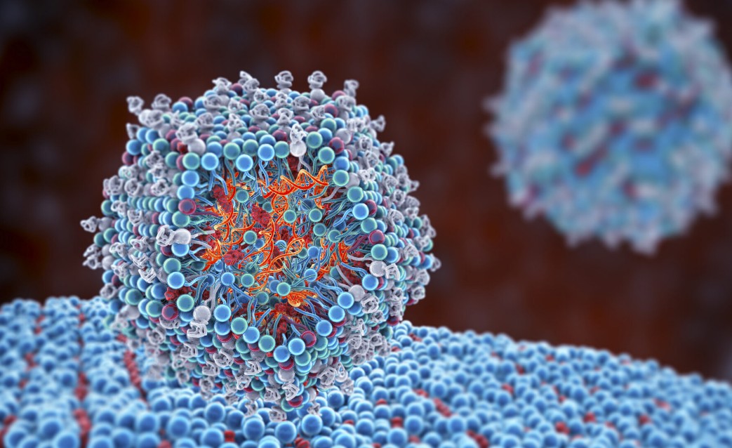 실렉시온 테라퓨틱스 절제 불가능한 췌장암에 대한 LODER&trade; 2상 시험에서 중요한 새로운 데이터 발표