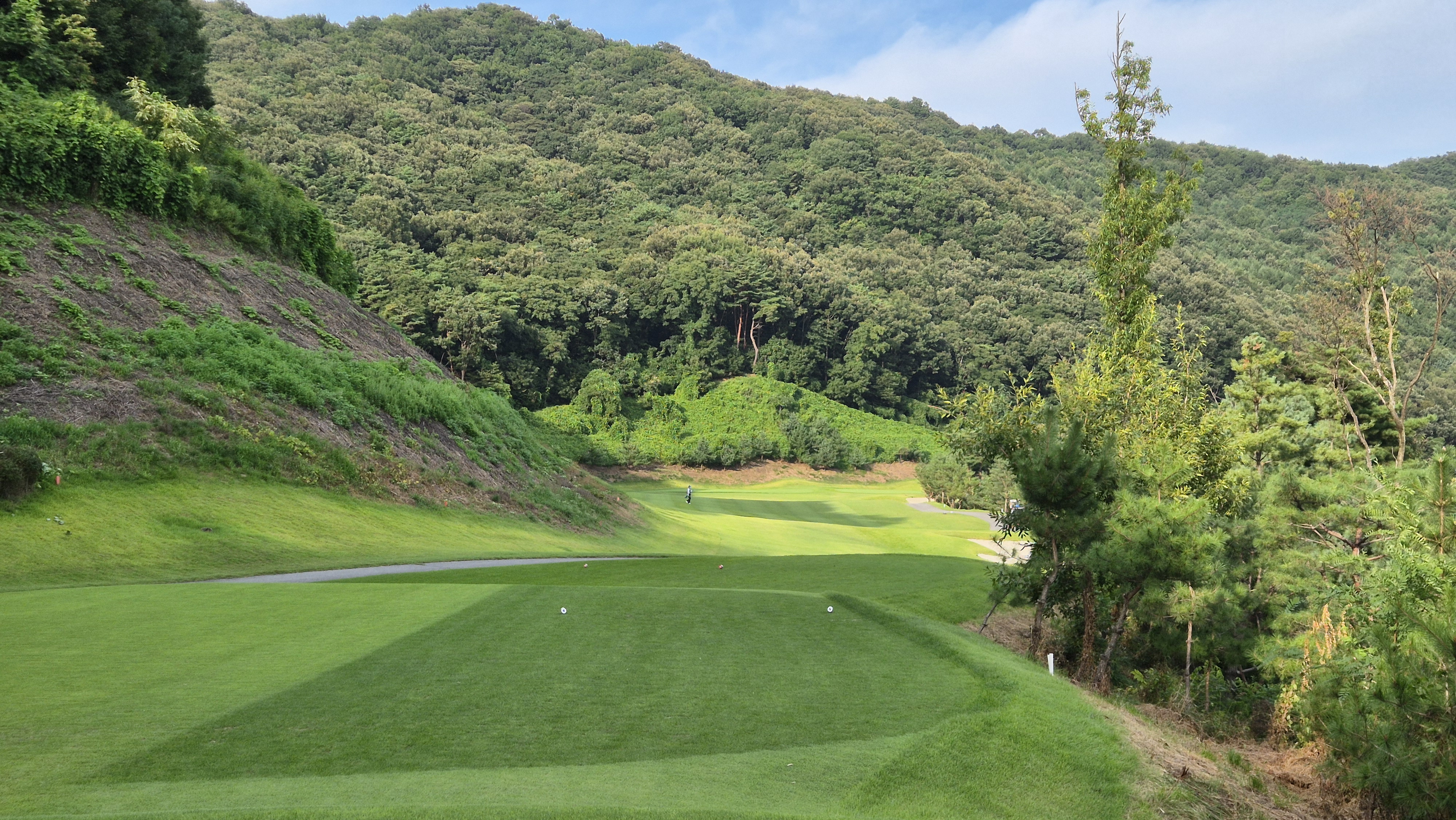 세일cc 들길-산길 코스 사진 및 공략 정보
