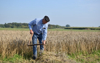 농지연금 가입조건 가입절차 및 제출서류