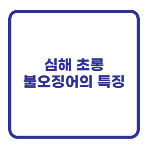 심해 초롱불오징어의 특징