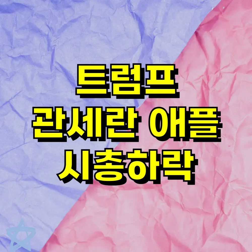 트럼프 관세란 애플 시총하락