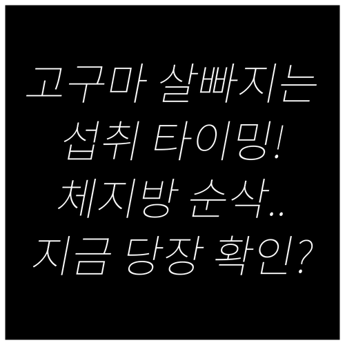 고구마 다이어트 체지방 감량 극대화하..