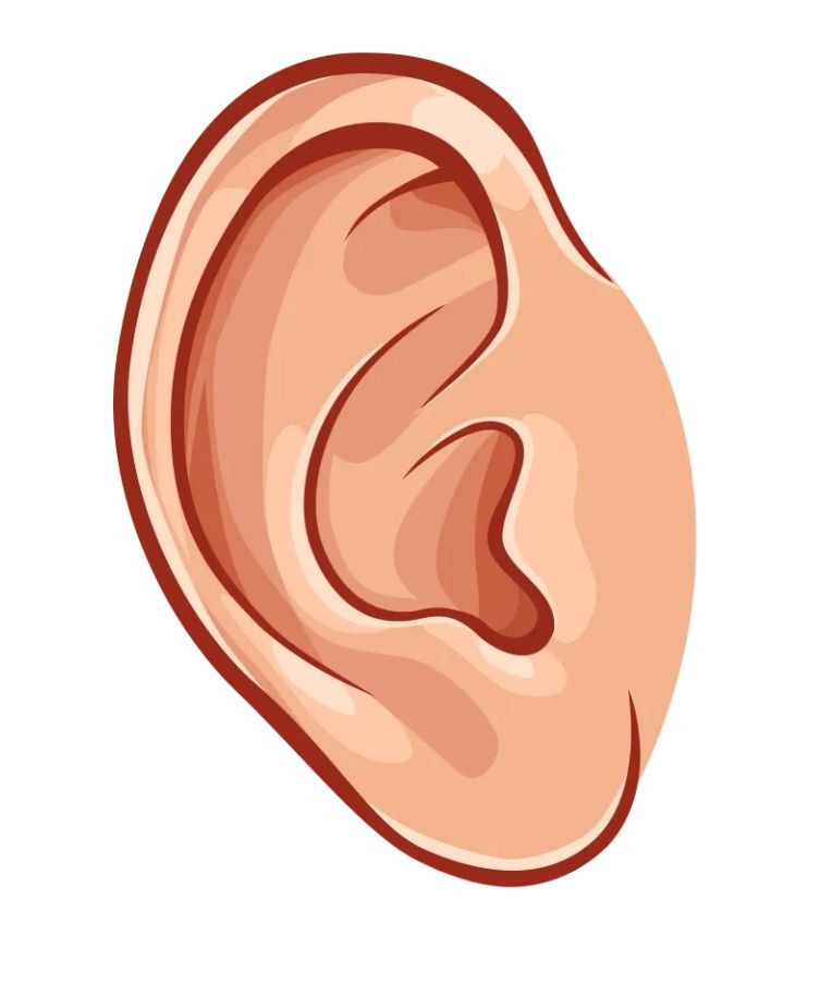 귀 모양 이미지