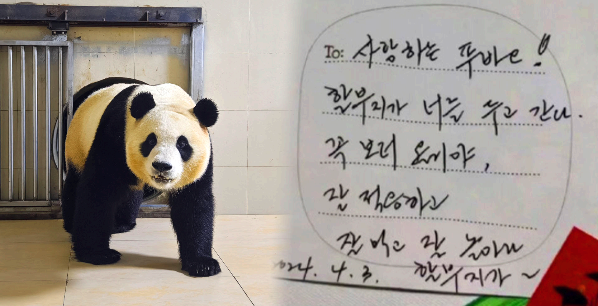 푸바오