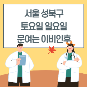 서울 성북구 토요일 일요일 이비인후과 진료 병원 리스트