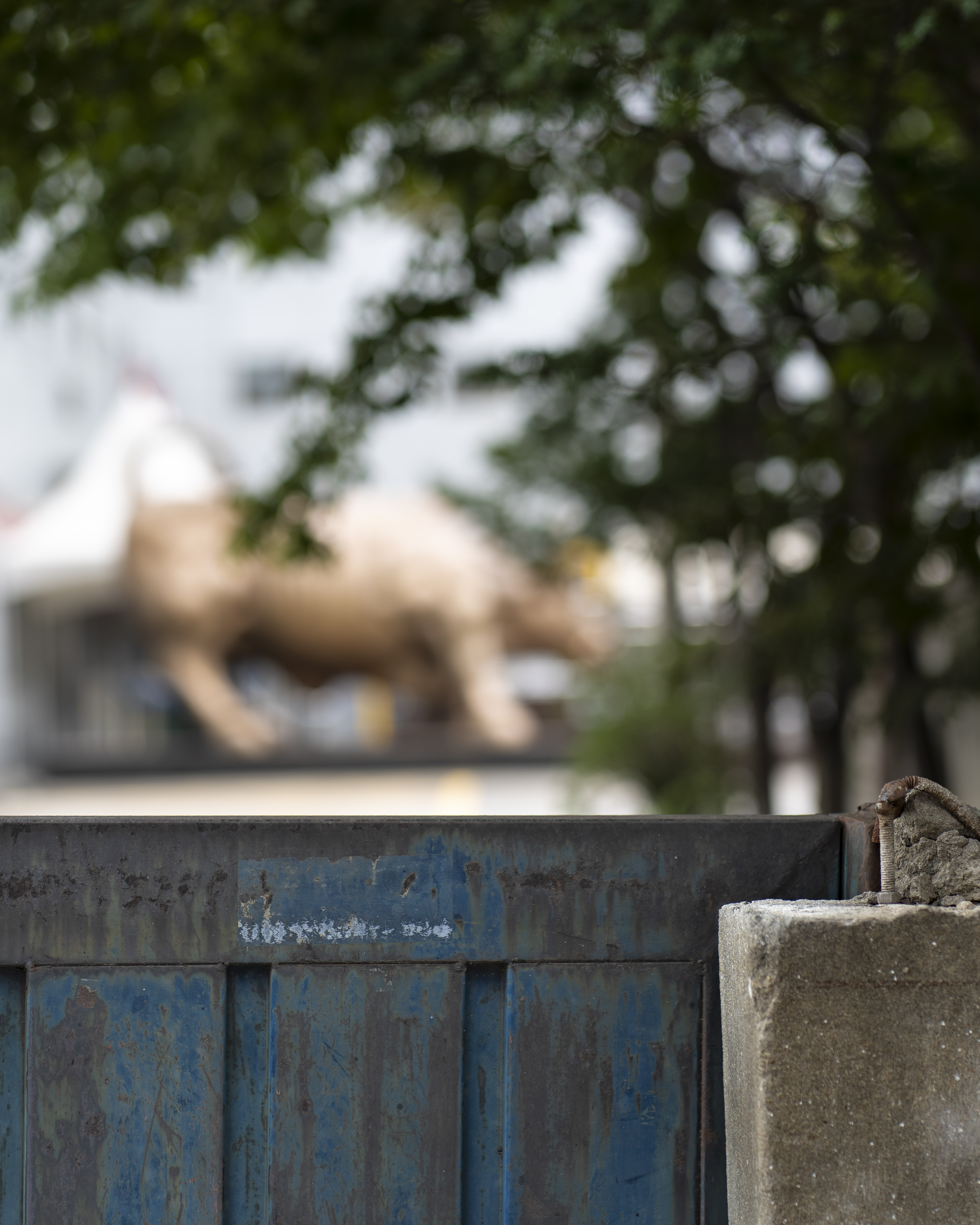 감성적인 철로된 어느 집 대문