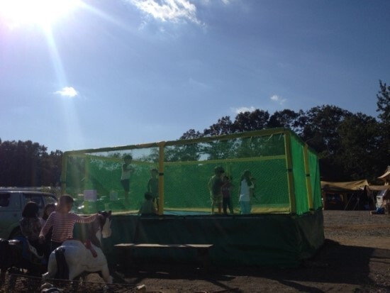 경기-파주-은사시-힐링캠핑장-사진-입니다.