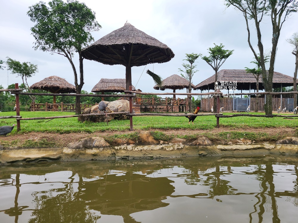 베트남 남호이안 빈원더스 사파리 후기 가격 할인입장권 예약 리버