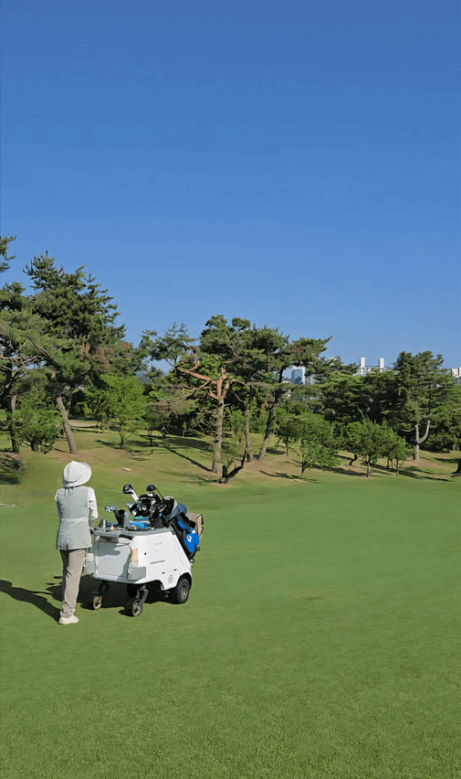 워킹라운드 전동카트