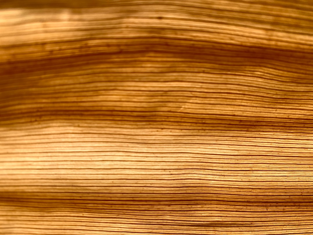 Areca Palm