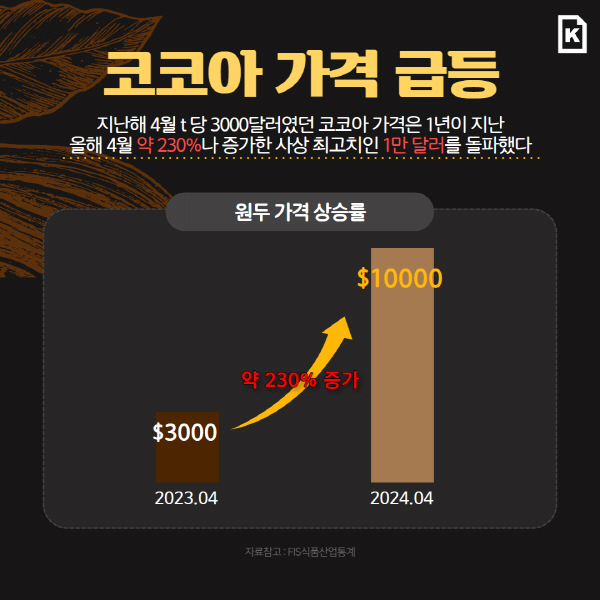 코코아 가격 급등