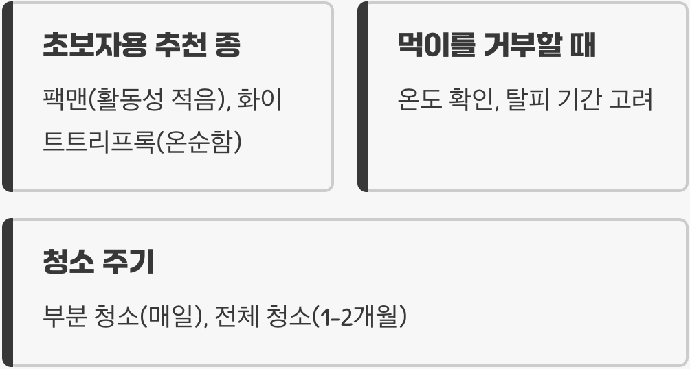 개구리키우기 A to Z (사육장, 먹이, 온도 관리)