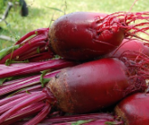 지방간에 좋은 음식 10, 지방간에 좋은 차 – 지방간 원인 증상