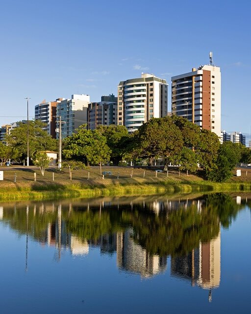 AI와 도시 나무 생태 서식지 질 향상 방안