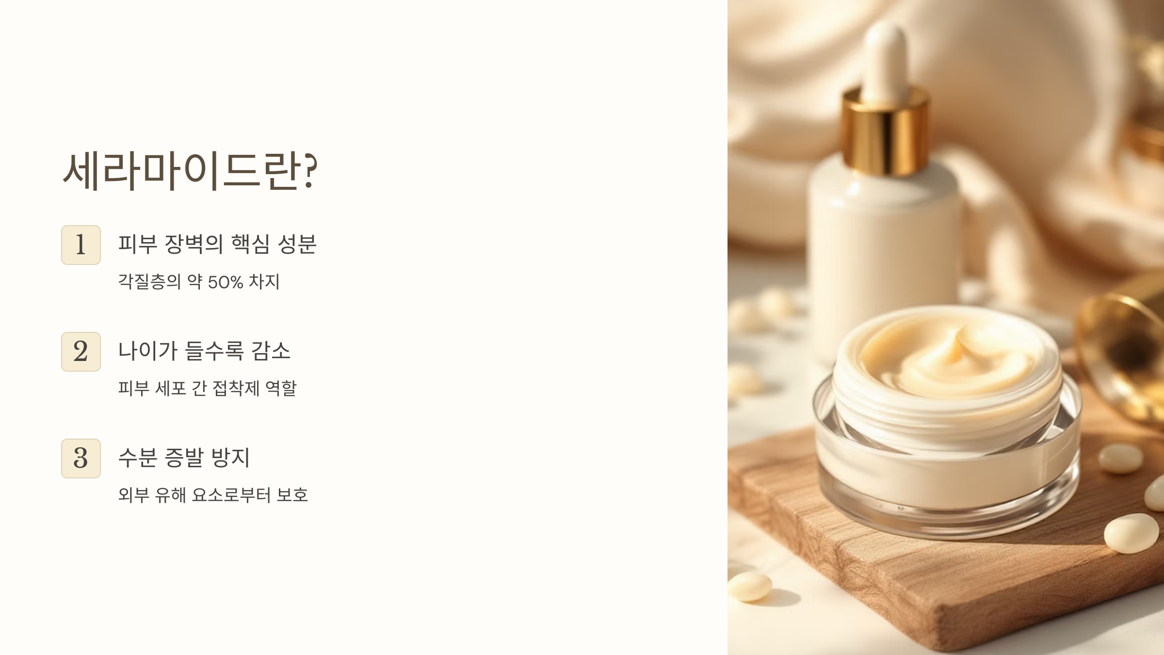 세라마이드 보습