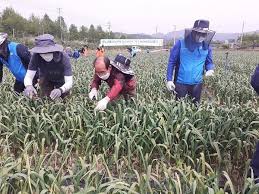 농촌 일자리 구하기