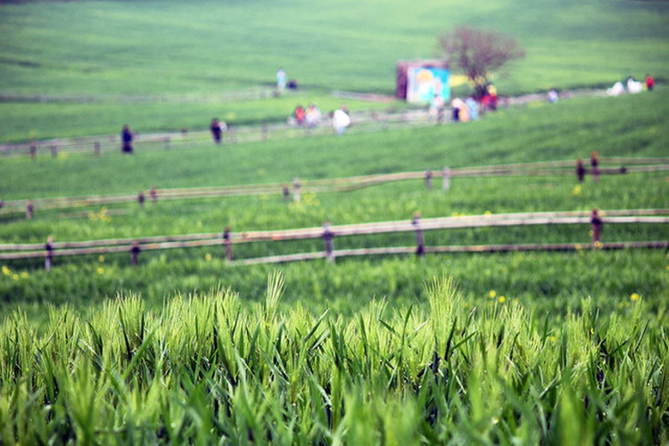 보리나라 학원농장