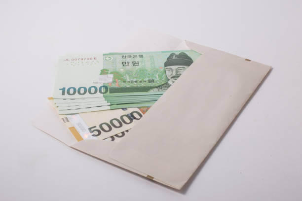 연말정산 환급금 지급일과 추가 공제 방법 및 미지급 사유