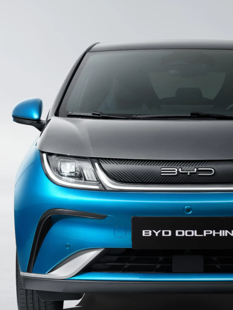 2026byd돌핀