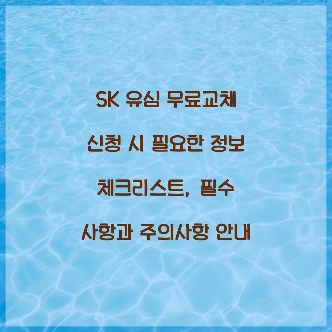 SK 유심 무료교체 신청 시 필요한 정보 체크리스트