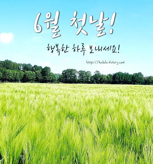 6월 첫날