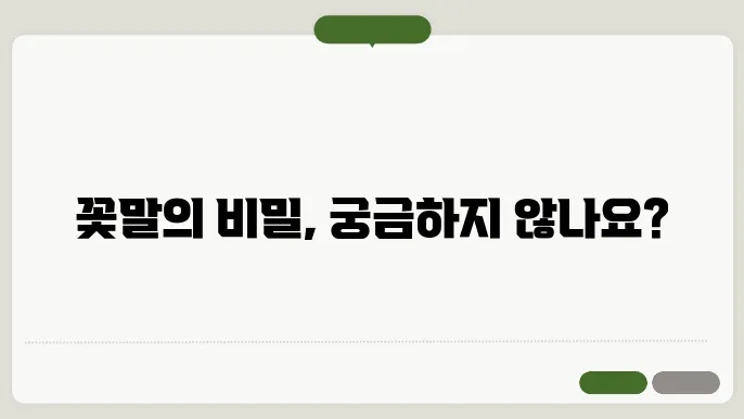 꽃말 모음