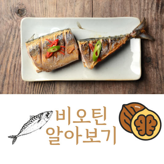 비오틴
