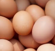 두부와플 반죽 재료 : 달걀