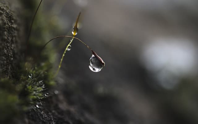 인생 전환점을 맞은 인물들의 위기 대응 방식