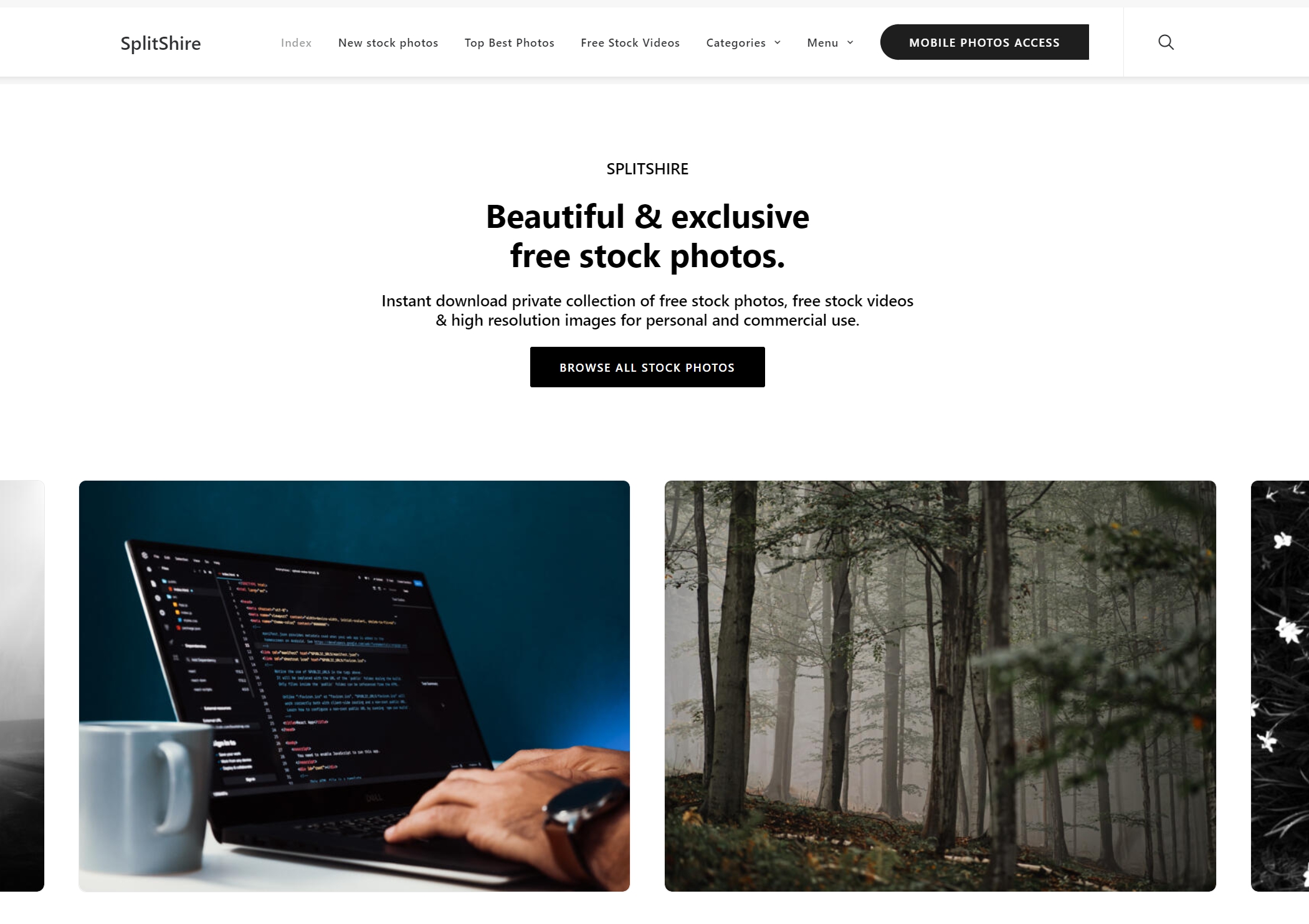 무료 이미지 사이트 추천