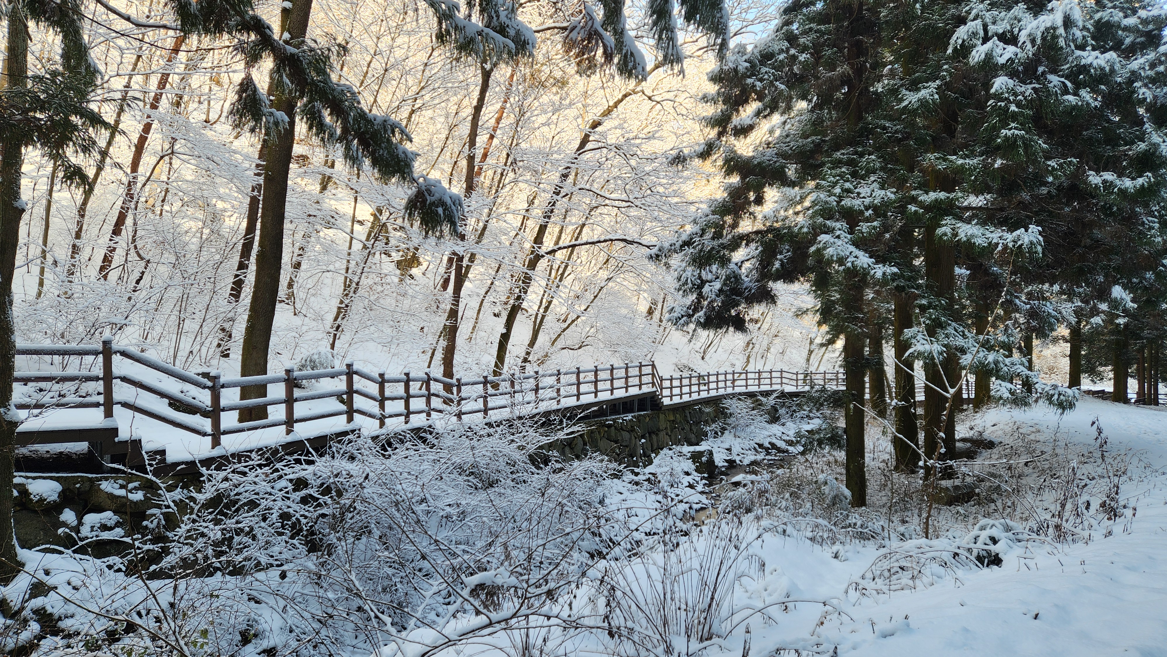 아름다운 눈덮인 데크길