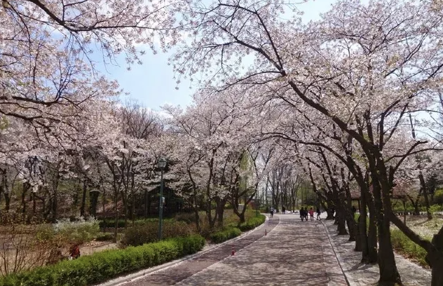 서울 어린이대공원