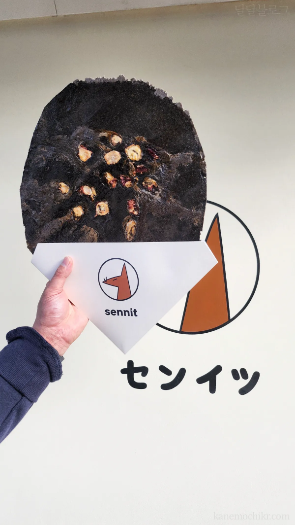 화석과자-센잇-돌문어