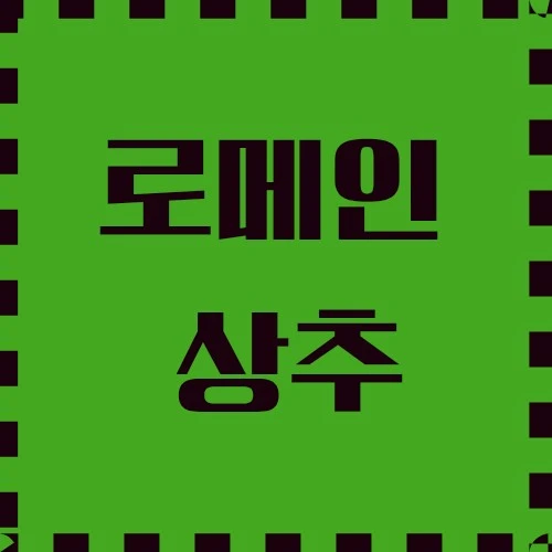 로메인 상추 유래, 요리, 웰빙 채소, 가정 치료와 재배에 대하여 알아보겠습니다.