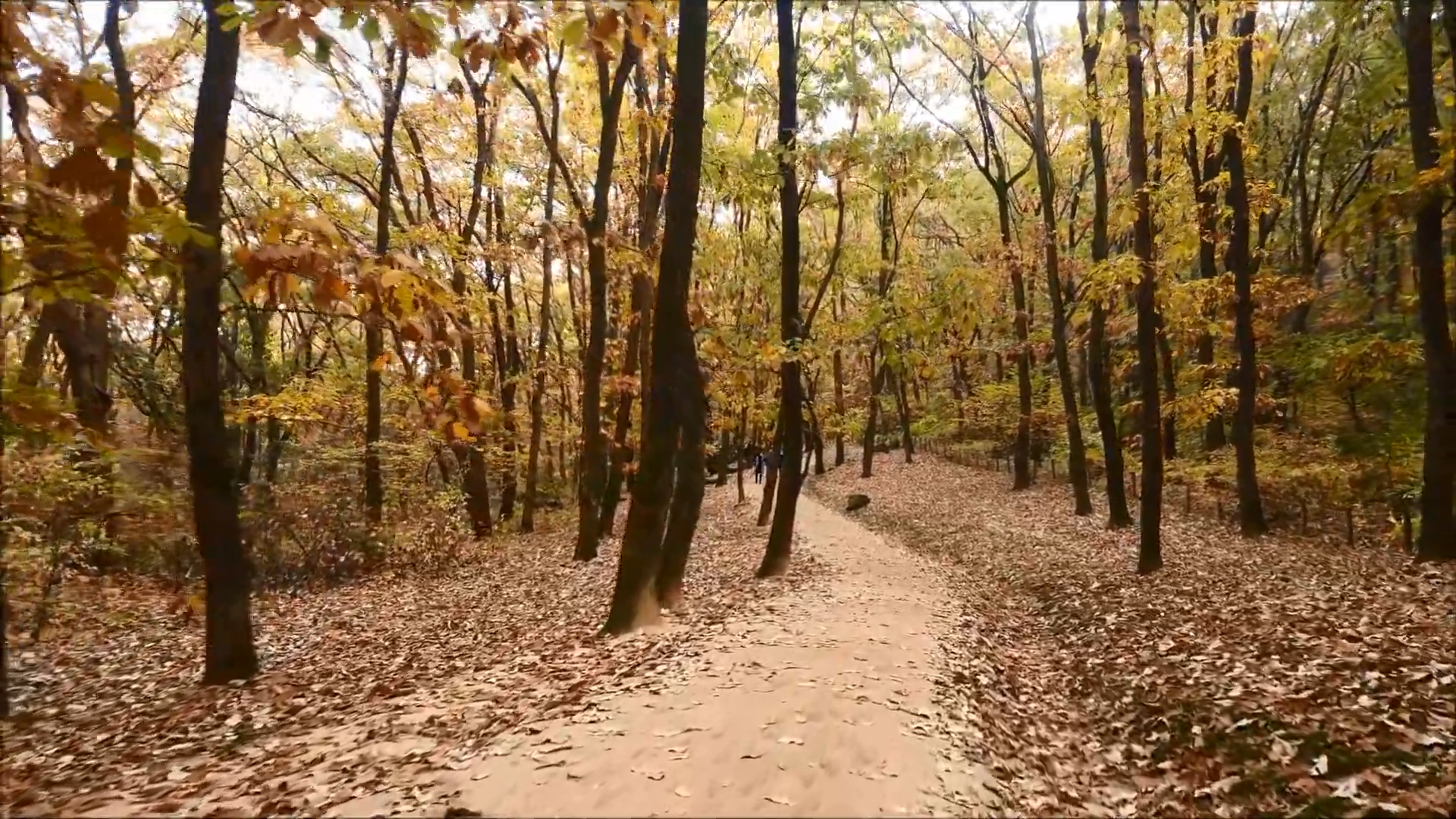 경기도 가볼만한곳 베스트 10