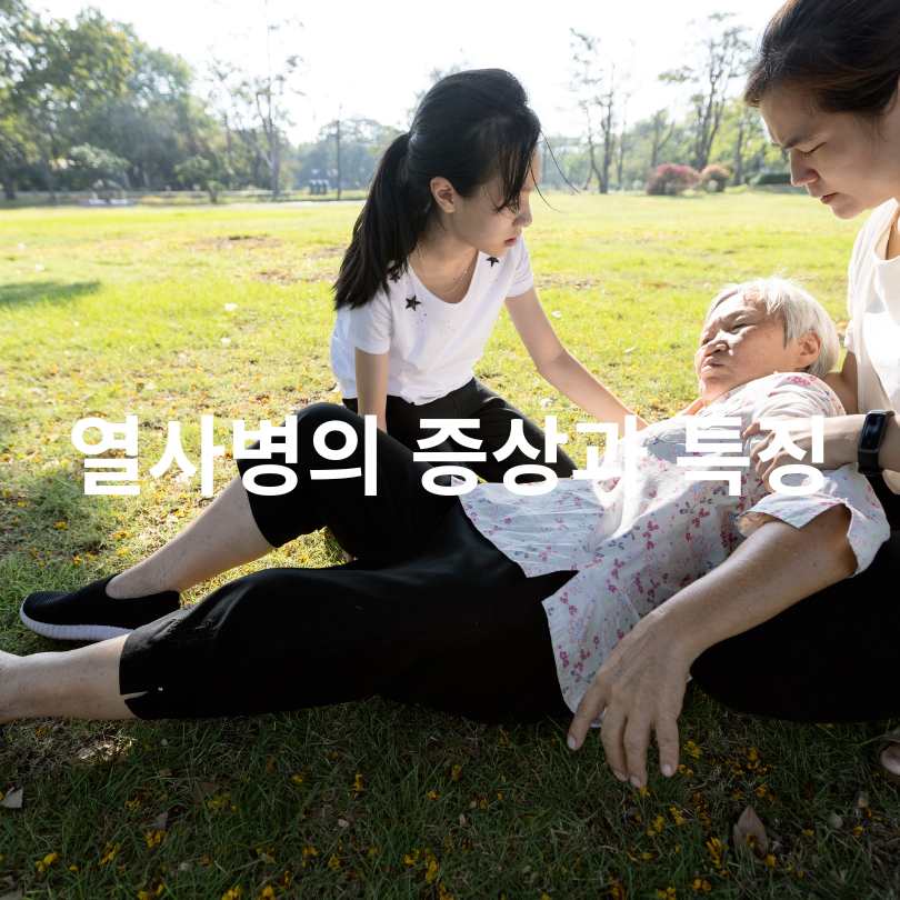 일사병과 열사병 차이점 총정리