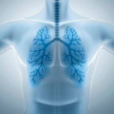 폐에 물이 차는 원인