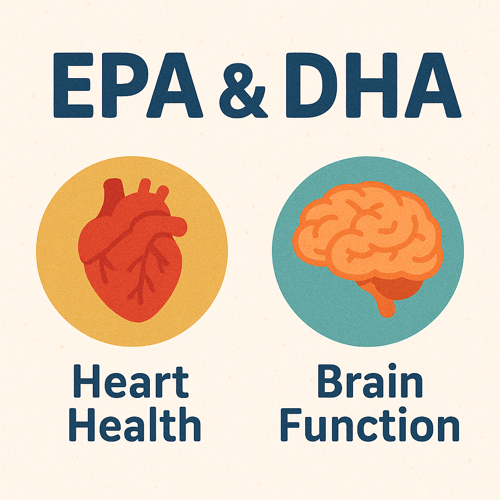 오메가3, EPA와 DHA의 역할 비교
