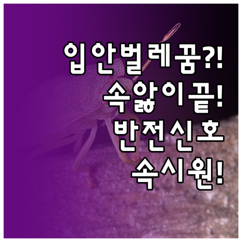 입에서 벌레 나오는 꿈, 속앓이 끝날..