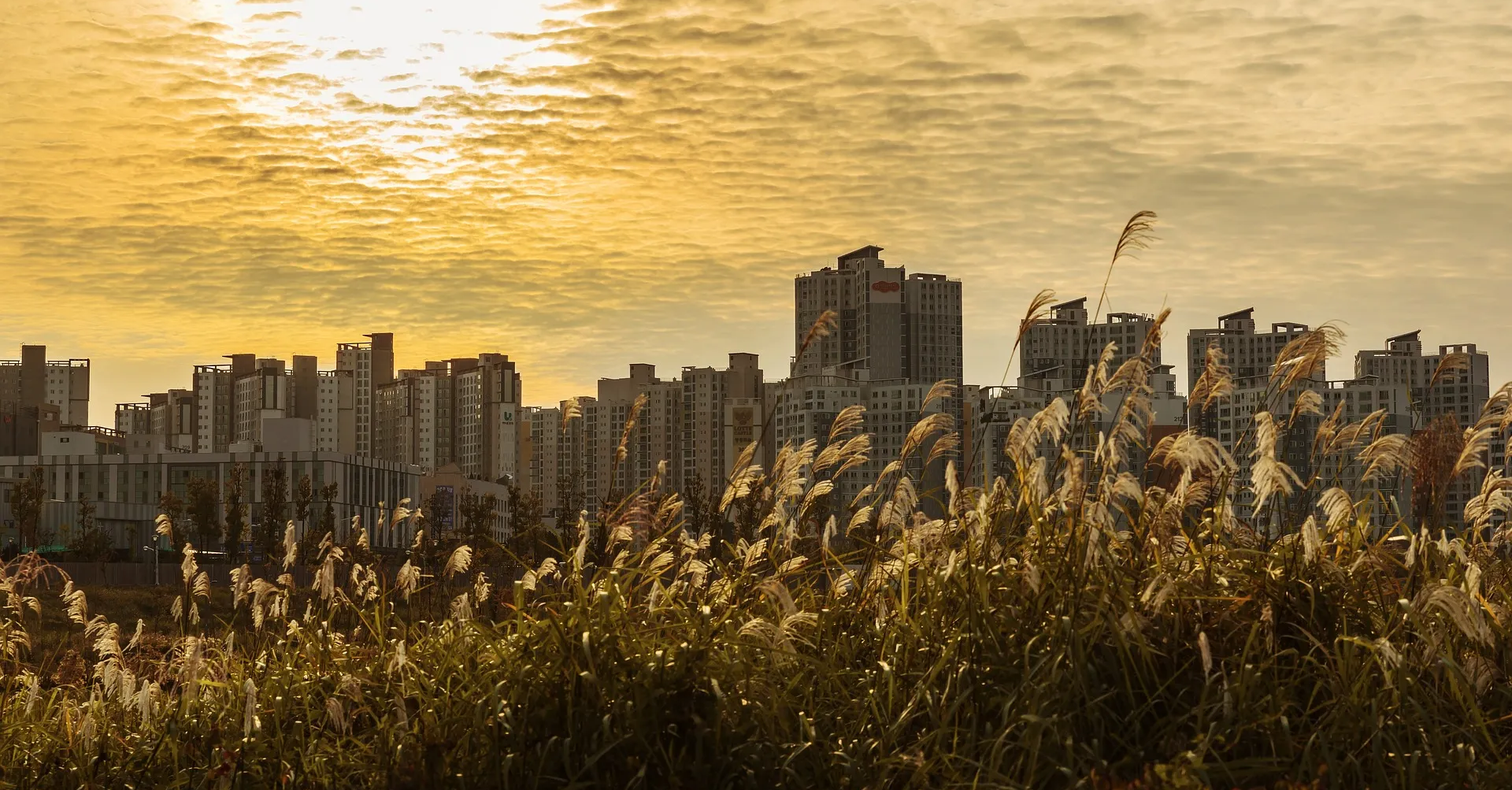 청년 특별공급 가점표에 대한 설명을 위한 아파트 전경 사진