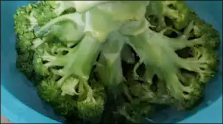 브로콜리를 거꾸로 담가놓은 모습